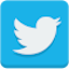 twitter icon